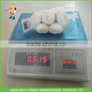 New Cold Storage Chinese Fresh Garlic thumbnail-1