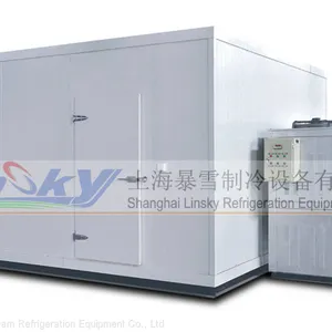 Cold Room for Fish Vegetables thumbnail-2