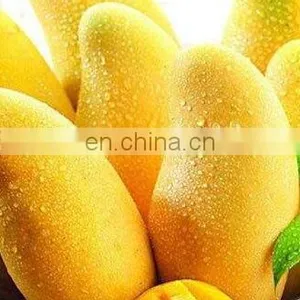 NEW TYPE Fruit Skin Peeling Machine/mango Peeling Machine With Advanced Design thumbnail-3