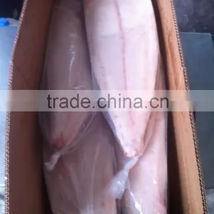 Frozen Oilfish Filets thumbnail-6