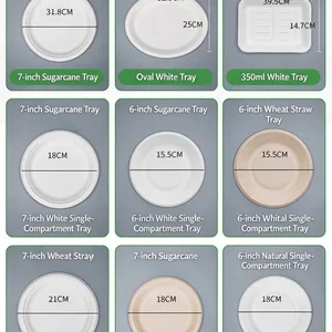 12 Inch Large Serving Plate, Unbleached Sugarcane Pulp, Compostable, Greaseproof, Sturdy For Buffet Serving thumbnail-5