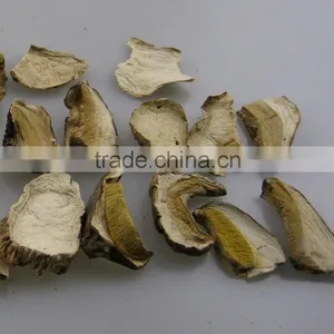 Boletus Edlie Form Yunnan thumbnail-1