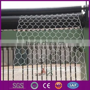 Lowest Price Galvanized Chicken Wire Mesh(China Manufacturer) thumbnail-1