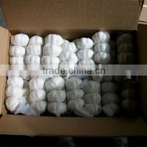 New Crop 2012 Chinese White Garlic thumbnail-1