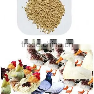 Small Capacity Farm Use Flat Die Pelletizer for Wood Sawdust thumbnail-6