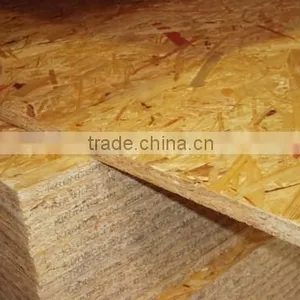 Edge Gold OSB thumbnail-3