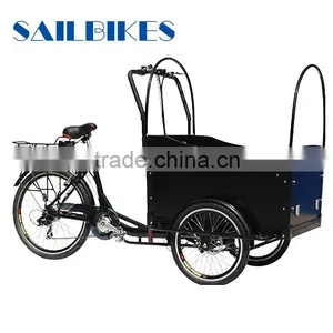 Electric Bicycle Cargo for Family thumbnail-3