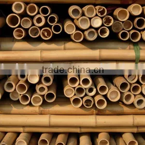 Bamboo Pole Sun-025 thumbnail-1