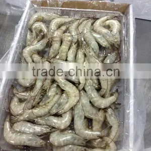 Vannamei Shrimp thumbnail-1
