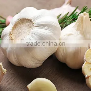 Super Pure White Garlic thumbnail-1