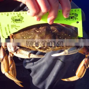 Plastic Lobster Shellfish Crab Gauge thumbnail-6