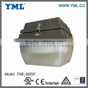 Induction Canopy Light Fixtures thumbnail-1