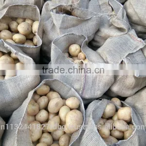 Indian Fresh Yellow , White Potatoes thumbnail-2
