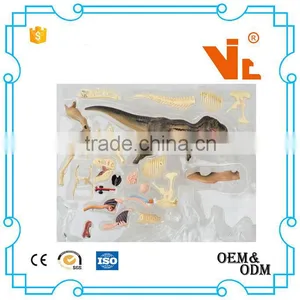 V-AM042 4D MASTER Tyrannosaurus Specimen Anatomical Model thumbnail-3