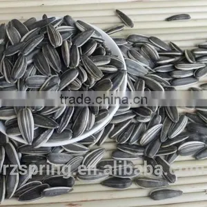 BLACK WITH WHITE STRIP SUNFLOWER SEEDS thumbnail-1