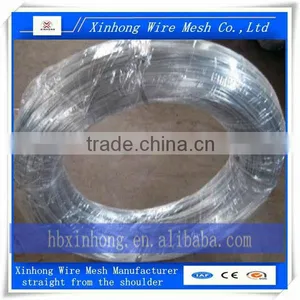 Electro Galvanized Iron Wire thumbnail-2