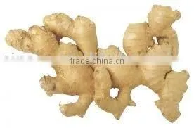 Air Dry Ginger thumbnail-1