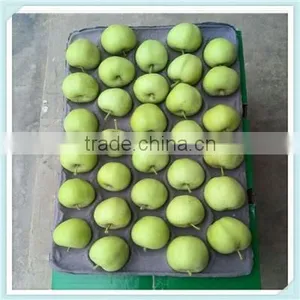 Fresh Green Apples thumbnail-3