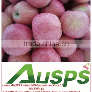 Chinese Fresh Fuji Apple thumbnail-2