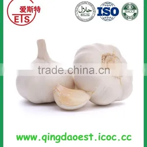 Good Quality and Best Price Hot Sale Fresh Pure White Garlic thumbnail-1