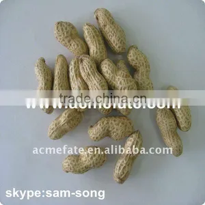 Peanut in Shell thumbnail-1