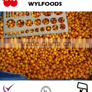 New Seasion Frozen Sea Buckthorn Fruit thumbnail-1