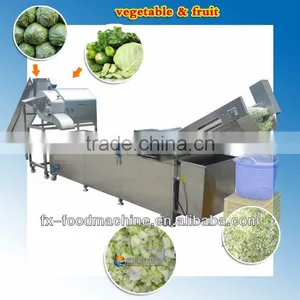 Industrial High Efficient Ozone Disinfected Circulating Water Vegetable Washing Machine thumbnail-2