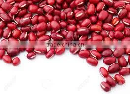 Competitive Price an Red Kidney Bean From Vietnam for Sale thumbnail-1