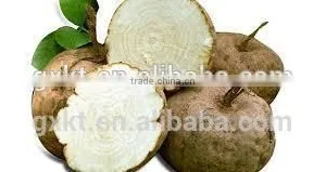 Thailand Pueraria Mirifica Breast Tight Cream Big Breast Cream thumbnail-3