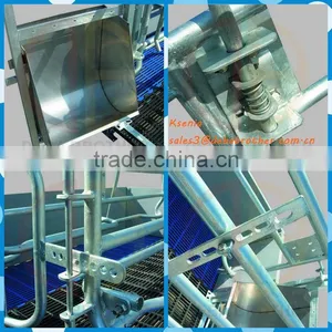Farrowing Crates Animal Houses (factory) thumbnail-6