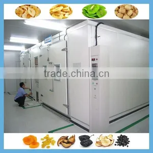 Professional Manufacture Vegetable And Fruit Processing Machine(Equipment /Line)/ Dry Fruits/ Dried Food Processing Machiney thumbnail-4