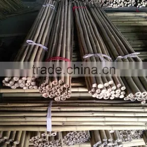Natural/cheap/raw Eco-friendly Bamboo Poles thumbnail-1