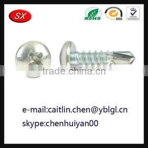 Dongguan Hardware Factory Custom Steel Screw thumbnail-1