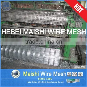 Bird Cage Galvanzied Welded Wire Mesh thumbnail-6