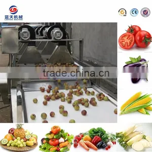 Professional Production Factory Ginger Fruit Garlic Dryer Machine for Sale thumbnail-5