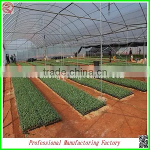Best Selling High Quality SQ-9.6 Glass Greenhouse With Beautiful Appearance thumbnail-6