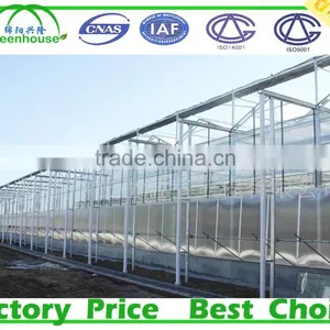 Glass Cover Material Greenhouse thumbnail-2