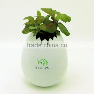 No Drainage Eco-friendly Oil Coating 9 Color Flower Pots Wholesale thumbnail-4