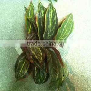 Home and Outdoor Garden Edging Christmas Decoration 60cm or 24inches Height Artificial Small Grass for Green Wall E04 1027 thumbnail-3