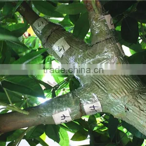 Home Garden Creepers Decoration 180cm Height Artificial Green Pachira Aquatica Tree EFCS05 2901 thumbnail-3