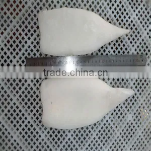 High Quality Frozen Squid Tubes thumbnail-1