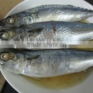 Frozen Mackerel (6-8pcs) thumbnail-1