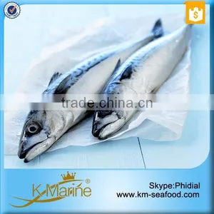 China Seafood Export Frozen Pacific Mackerel thumbnail-3