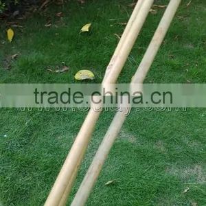 Thick Wall and Strong Tonkin Bamboo Canes for Supporting Plants at Cheap Price thumbnail-2