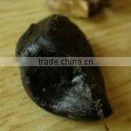 Peeled Black Garlic Organic thumbnail-1