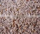 Plantago Ovata / Psyllium Plantago / Plantago Ispaghula thumbnail-1