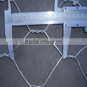 Gold Supplier Hexagonal Wire Netting(ISO and SGS) thumbnail-4