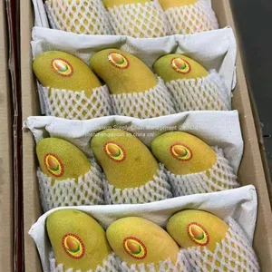 Mango & Lemon thumbnail-5