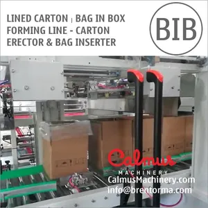 Case Erector and Bag Inserter For Forming Lined Cartons thumbnail-3