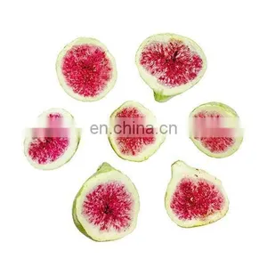 LTDG-Series CE Certified High Quality Fruit and Vegetable Vacuum Freeze Dryer thumbnail-4